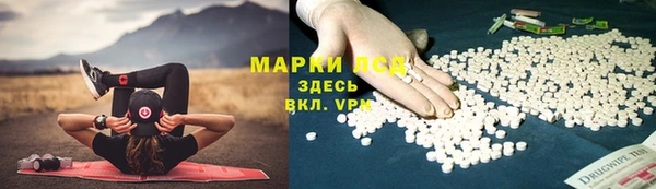 индика Арсеньев