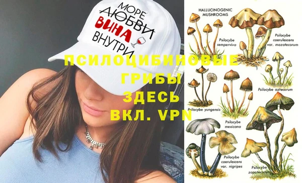 СК Аркадак