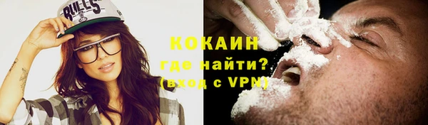 индика Арсеньев
