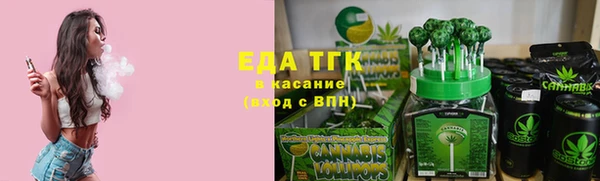 индика Арсеньев