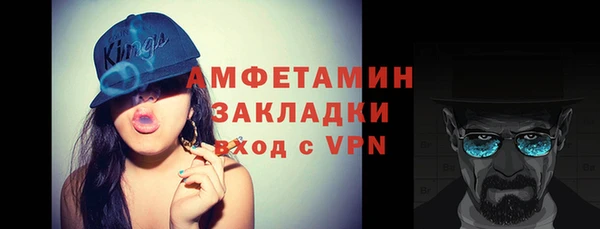 индика Арсеньев