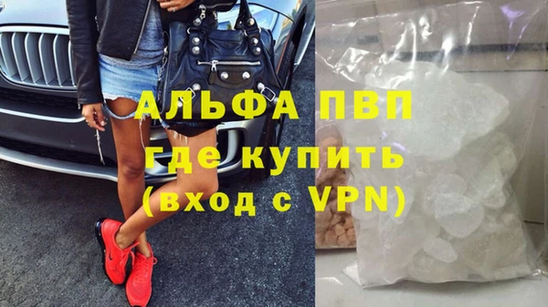 СК Аркадак