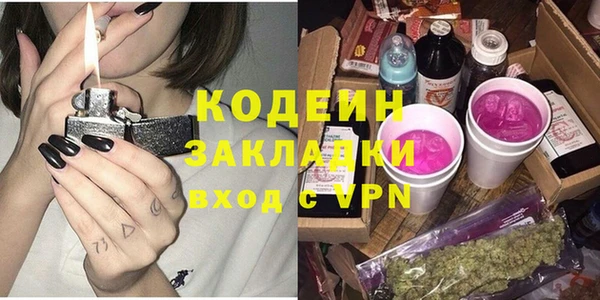 индика Арсеньев