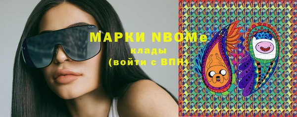 индика Арсеньев