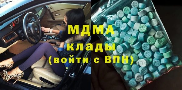 индика Арсеньев