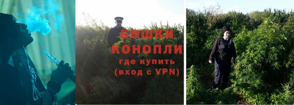 СК Аркадак
