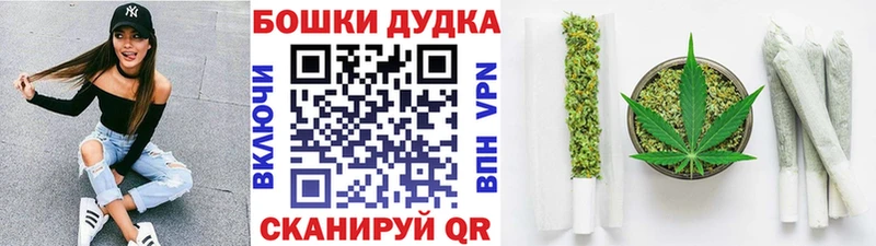 Бошки марихуана ГИДРОПОН  как найти закладки  Лесной 